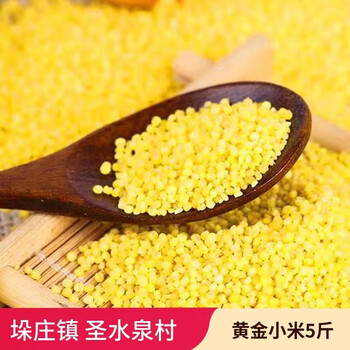 泉村 当季新鲜小米5斤 懂东东 助农直播专链 圣水泉村当季石碾小米 5