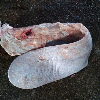 正宗牛新鲜冷冻牛沙肝牛胰脏牛脾火锅食材6斤