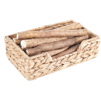 密云助农馆 山药 铁棍山药 新鲜细山药 500g