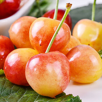 【jd速运】烟台水晶大樱桃水果新鲜当季国产车厘子黄蜜樱桃 精选大果
