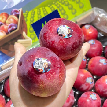 俏农优选 智利进口珠宝李子1斤 当季新鲜红布林整箱血丝李水果 京东