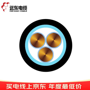远东电缆 YJV22-3*6 铜芯铠装电力电缆 10米【有货期50米起订不退换】