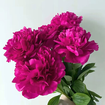 京东鲜花重瓣芍药进口品种(红富士5枝)鲜花送礼室内装饰趣味插花