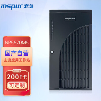 浪潮（INSPUR）NP5570M5塔式服务器图形工作站电脑主机 2*5218｜256G｜960G+2*8T 1块RTX3090 24G显卡｜浪潮原厂