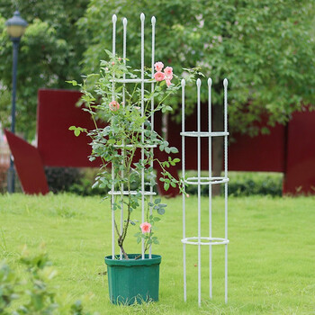 贝芽园艺支架爬藤攀爬架子阳台花园植物藤蔓花卉固定支柱支撑杆花盆
