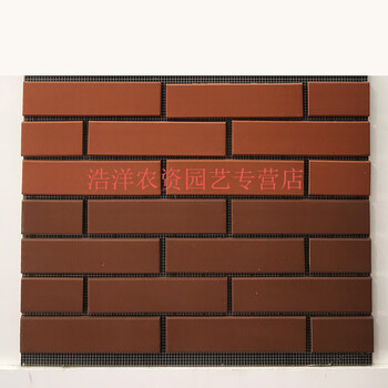 红色劈开砖农村自建房通体外墙乡村别墅陶土室外瓷砖60x240咖啡色其它