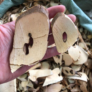 东风桔根中药材500g 东风橘根 金橘根 山金桔根 山柑子根 山桔根 500g