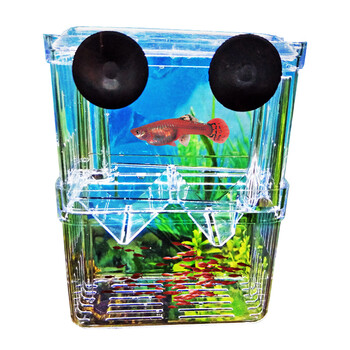 智洋 Zhiyang 鱼缸隔离盒孔雀鱼孵化盒斗鱼隔离盒幼鱼繁育培育盒鱼苗孵化繁殖盒大号孵化盒2个 配鱼药2包 饲料1袋 图片价格品牌报价 京东