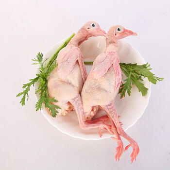 农家散养鸽子新鲜乳鸽肉活体现杀3只1000g真空包装冷冻