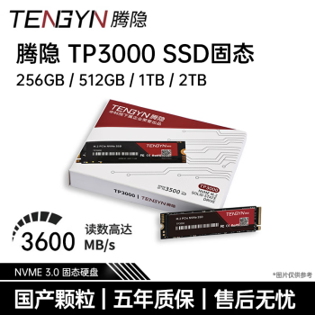 洢Բ SSD̬ӲTS510/TP3000/TP4000/TP4000PROȫϵӲ ȫϵй̬Ӳ TP4000-1TB NVME
