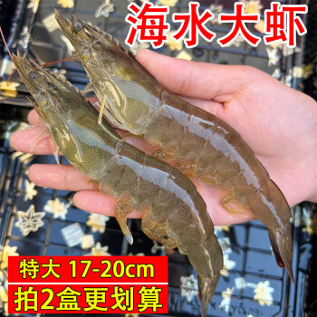 特大對蝦青島厄瓜多爾白蝦鹽凍2030大蝦1650g1315cm4050二盒更划算