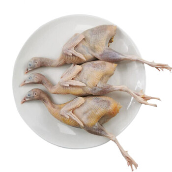 鹧鸪鸟 新鲜现杀飞龙肉 农家老鹧鸪肉生鲜鸟肉300g