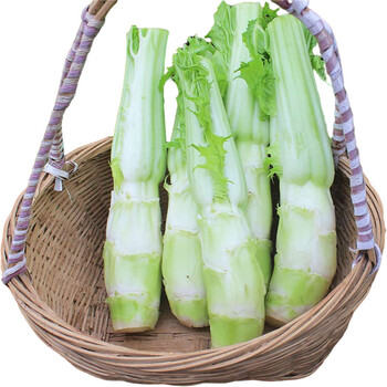 四川棒菜菜苔青菜头脑壳菜老壳蔬菜菜心芥菜2斤