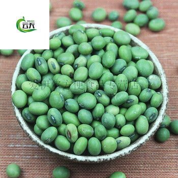 凯偲洽 新生大青豆1斤5斤农家青大豆绿大豆绿芯青豆打豆浆五谷杂粮 1
