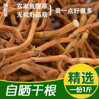 鱼腥草干农家自晒野生鱼腥草根折耳根当年新货泡茶煲汤无硫中药材