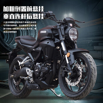 智询(zhixun)国四电喷200ccv8烽火街车摩托车跑车特技车小怪兽可上牌