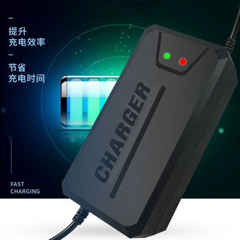 车太太 适用于高端电动车充电器48v60v72v快充通用三轮电瓶车充电器