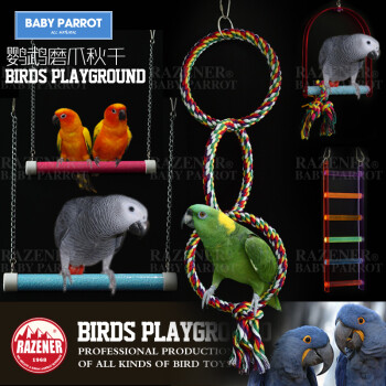 RAZENER鹦鹉悬挂玩具智力开发防咬毛抑郁木质玩具训练道具鸟玩具 大号楼梯