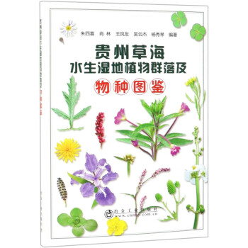 贵州草海水生湿地植物群落及物种图鉴 朱四喜 肖林 王凤友 吴云杰 杨秀琴 摘要书评试读 京东图书