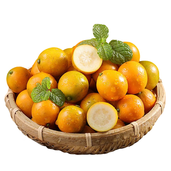 食艺鲜广西脆皮小金桔 当季黄金橘甜桔子新鲜水果 自然成熟油皮橘子 9