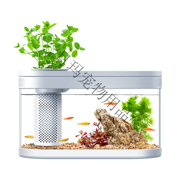 两栖生态懒人鱼缸造景客厅创意水族箱小型装饰办公室 鱼缸造景摆件 凡