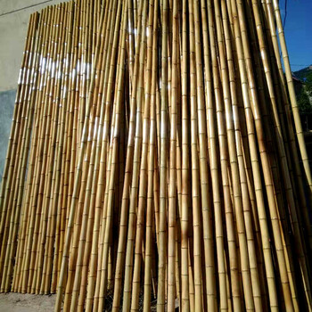 恒日晟防腐竹子装饰室内吊顶隔断庭院粗细楠竹竿户外篱笆栅栏围栏小竹