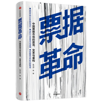 票据革命 中国票据市场的震荡、变革与重构 中信出版社 pdf格式下载