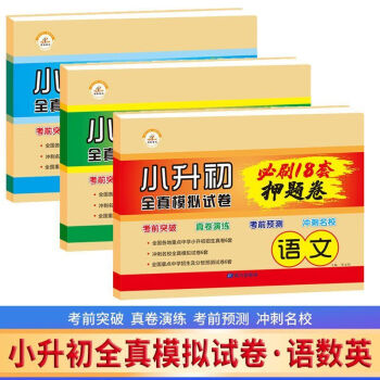 2023人教版小升初全真模拟试卷六年级语文数学英语总复习模拟试卷小升