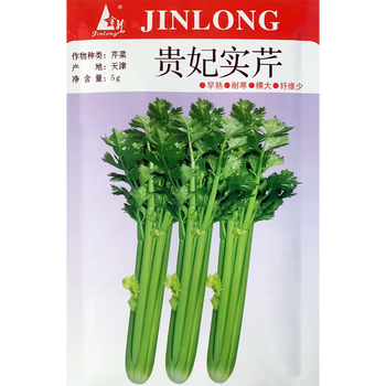 金龍芹菜种子贵妃实芹芹菜种籽叶柄实心早熟耐寒棵大纤维少抽苔晚生长速度快约5克 包5克原装1包 图片价格品牌报价 京东