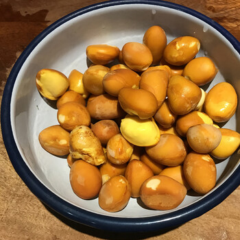 新鲜凤眼果 富贵子 九层皮 苹婆果七姐果红皮果 5斤