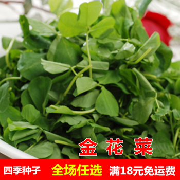 上海特产草头种子大叶金花菜黄花草头种子食用苜蓿野菜籽蔬菜种子黄花金花菜500克 图片价格品牌报价 京东
