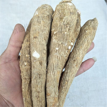 内廷上用壮泥鳅包邮云南腾冲苗家特产中药材泡酒料药酒起阳草500克