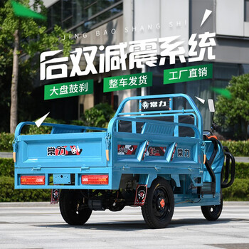 圆小米电动拉货三轮车 常力电动三轮车新款代步载拉货快递三轮车家