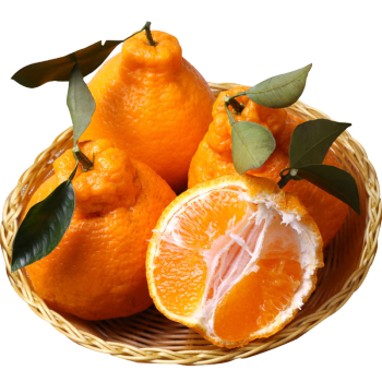 四川不知火丑橘 无籽蜜桔丑八怪橘子丑柑 新鲜水果 中果5斤装