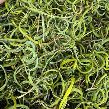 云南野生化石草小叶250g特级猫须草中材肾精茶猫须公排溶石