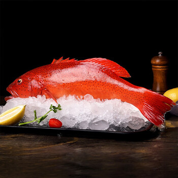 嘉麟乐 野生活冻大东星斑新鲜海鲜冰鲜石斑鱼燕尾斑冷冻瓜子斑 700