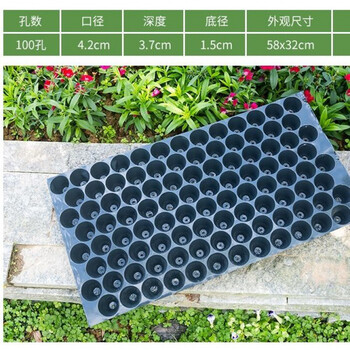 豹点秧苗盘玉米育苗盘瓜果育苗塑料哈密瓜圆孔穴盘100孔辣椒种植盘盘