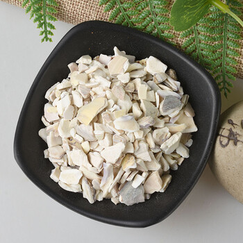 天然蛤壳海蛤壳文蛤海蛤壳500克