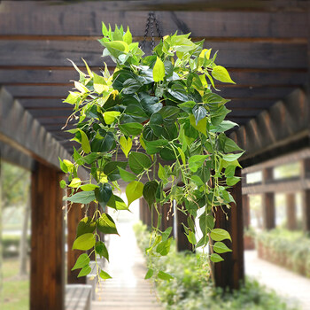 仿真绿植仿真植物藤假花藤藤蔓绿叶绿萝壁挂吊篮室内吊兰绿植装饰