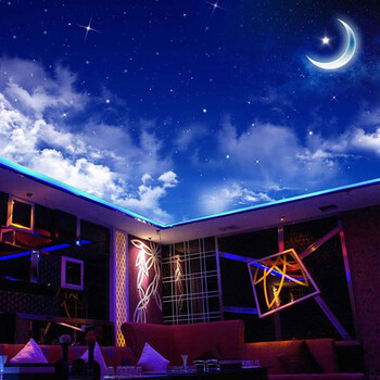 蓝鱼(lanyu)3d现代简约星空月亮天花板吊顶墙布壁布顶面背景墙壁画