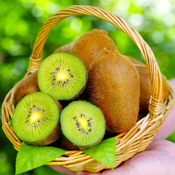 头茬湘西绿心猕猴桃 【精选】3斤 单果100-130克左右