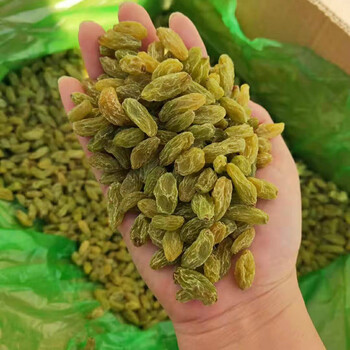 新疆大葡萄干免洗2斤特产大颗粒独立 葡萄干大包散称2斤