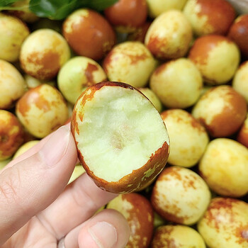 陕西冬枣新鲜水果当季大荔枣子红枣脆甜鲜枣当季时令水果5斤大果