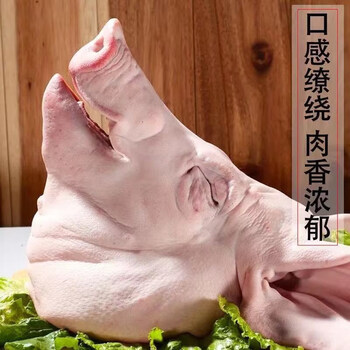 皓谦山东猪头生猪头土猪带耳朵猪舌猪脑带骨猪脸10斤