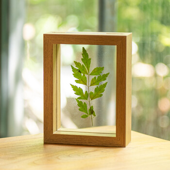 相框摆台实木6寸7寸8寸简约创意压花透明双面玻璃植物标本框画框 x