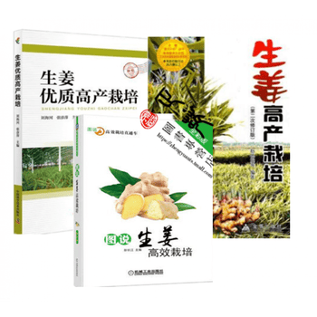 套装3册 图说生姜高效栽培 生姜高产栽培 生姜高产栽培生姜栽培种植技术大全书籍高产生姜 摘要书评试读 京东图书