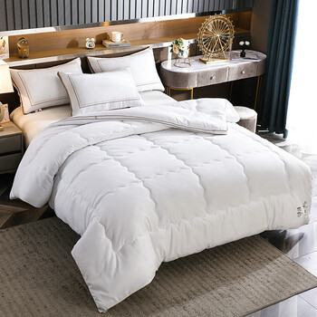 10斤冬天羽丝棉被冬季丝绒被子冬被加厚保暖丝绵太空棉被芯 白色 180