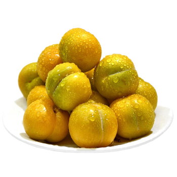 正宗贵州六马蜂糖李 新鲜脱骨李 当季新鲜水果 蜂蜜冰糖李 精选5斤装