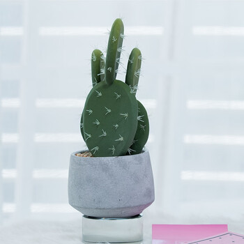仿真仙人掌假绿植盆景北欧植物盆栽创意水泥花盆桌面装饰 圆盆仙人镜