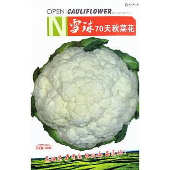 蔬菜种子花菜种子雪球70天秋菜花种子珍珠80天花椰菜种子白花菜种孑白菜花椰菜花籽秋菜花雪球70天秋菜花种子0粒 包 图片价格品牌